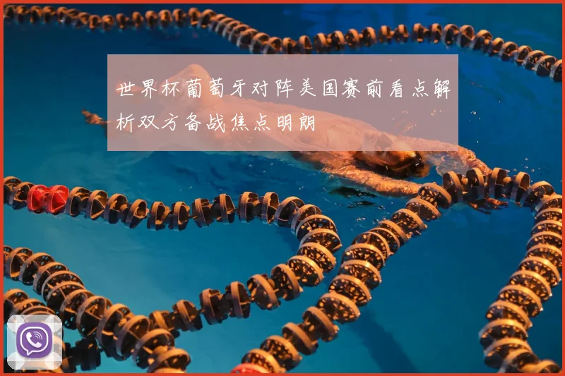 世界杯葡萄牙对阵美国赛前看点解析双方备战焦点明朗