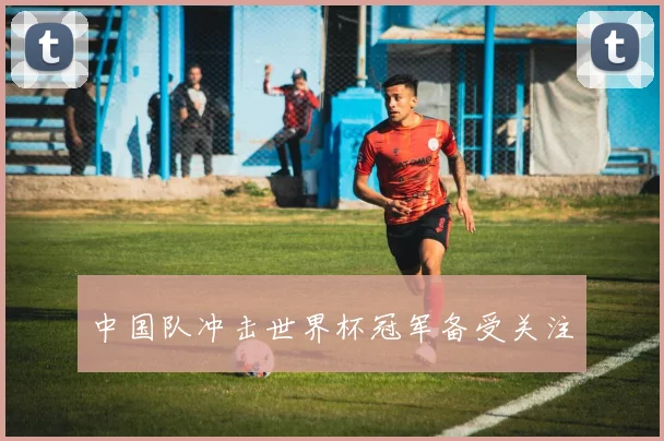 中国队冲击世界杯冠军备受关注